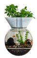 aquaponey
